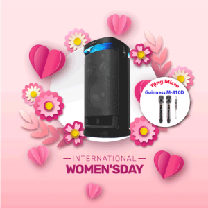 SRS-XV900 | Loa không dây công suất cao Sony